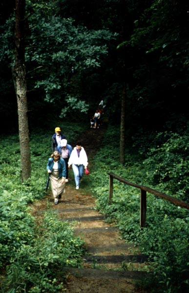 people hiking trail